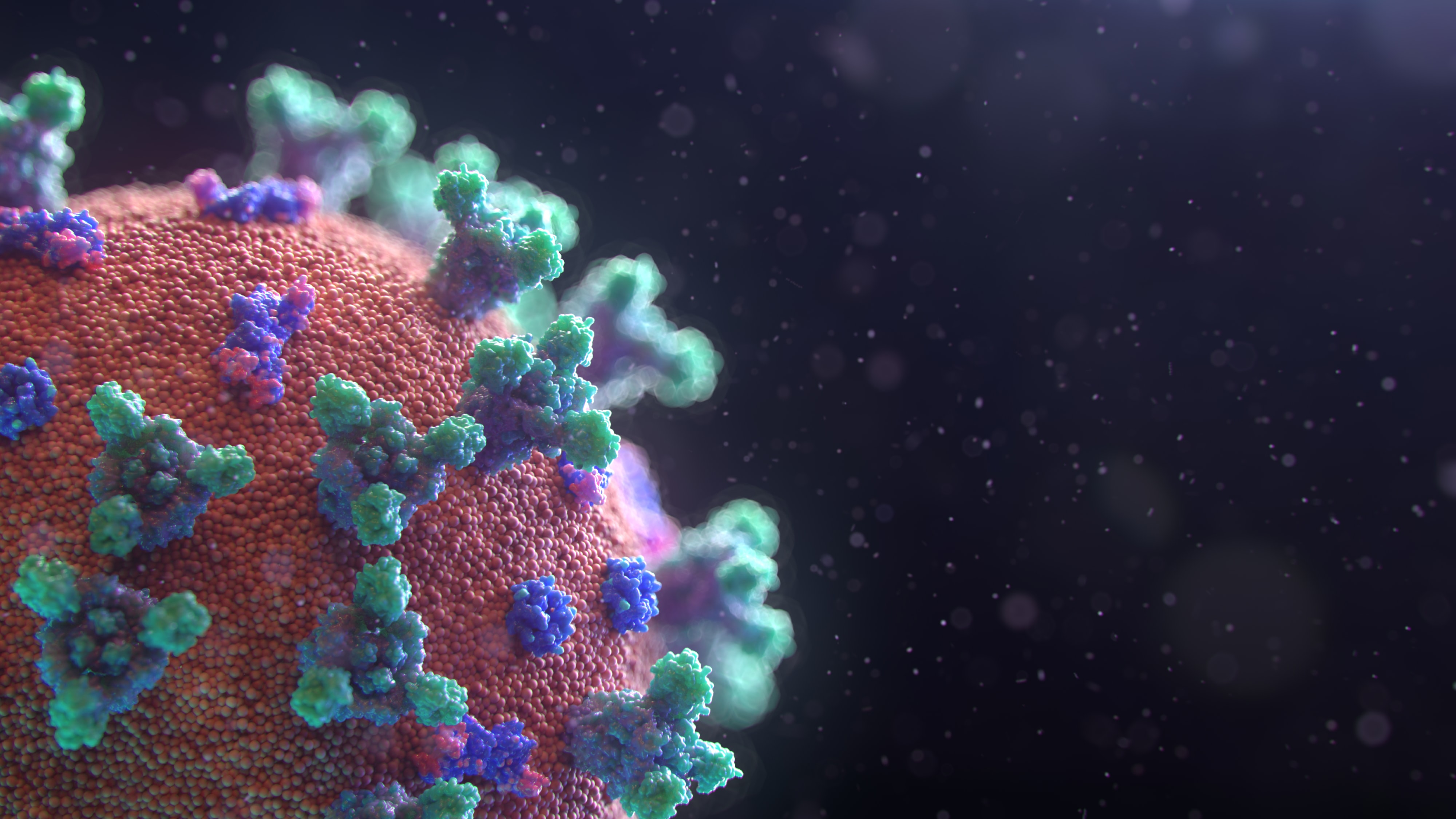Servicios de pago ofrecidos gratuitamente debido al Coronavirus COVID-19