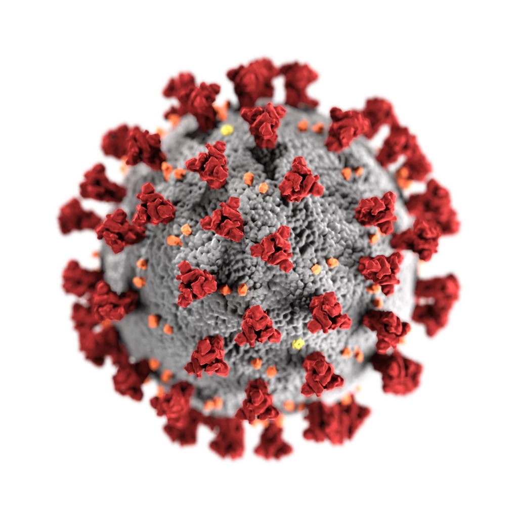Servicios de pago ofrecidos gratuitamente debido al Coronavirus COVID-19 logo